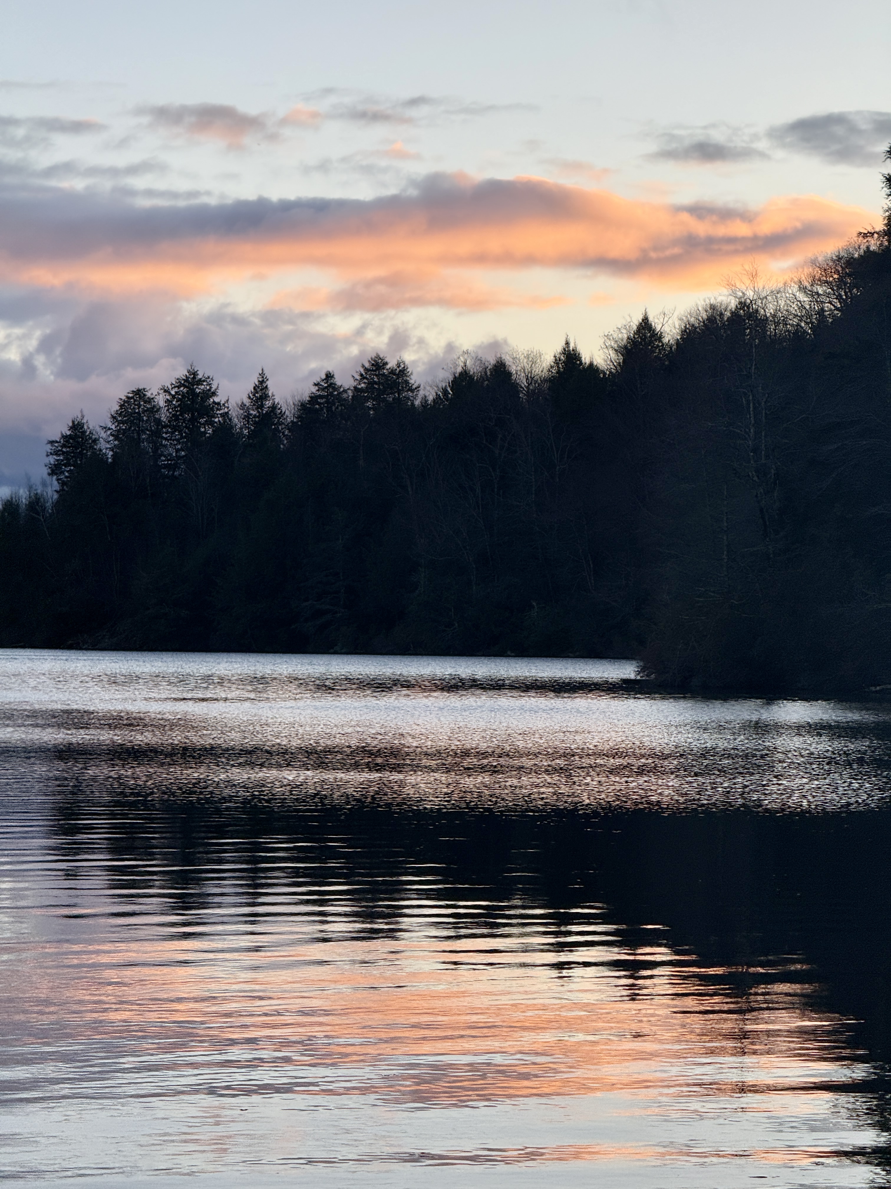 Sunset over a forested lake